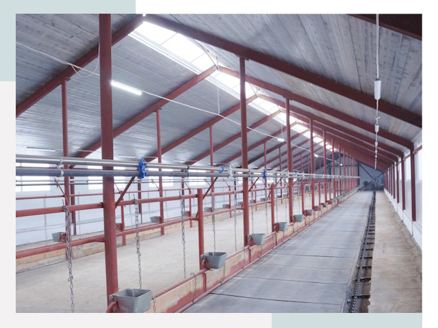 Строительство коровников в Соликамске от 618 руб.