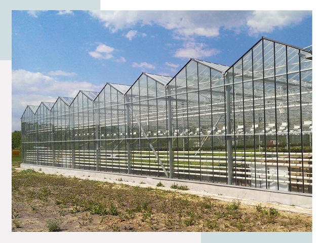 Строительство теплиц в Соликамск от 618 руб. за м²